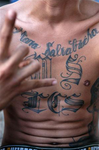 A man's bare chest tattooed with 'Mara Salvatrucha' and the letters MS 13, his hand making a gang sign